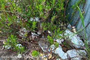 Viterbo - Incuria lungo il marciapiedi in via Papa Giovanni XXI