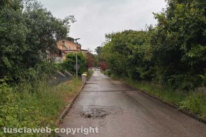 Viterbo - Incuria in via Lombardia