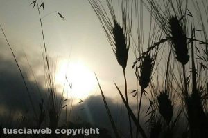 Spiragli di sole nelle campagne di Bracciano