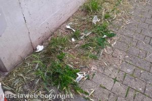 Viterbo - Il taglio dell'erba in via Raffaello