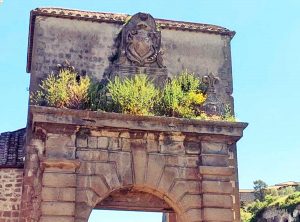 Viterbo - Erbacce sopra porta Faul