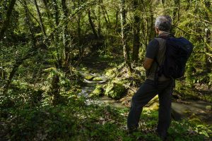 Trekking