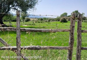 Viterbo - Il Bagnaccio chiuso