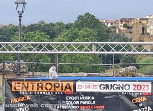Tuscania - Un gatto sul palco