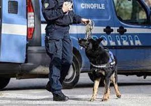 Polizia - Il cane antidroga