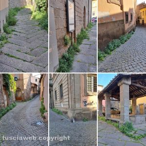 Viterbo - Erbacce nel centro storico