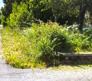 Viterbo - Isola in via Francesco Cristofori