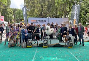 Viterbo - La 53esima esposizione internazionale canina