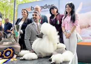 Viterbo - La 53esima esposizione internazionale canina - Samarcanda Cole Porter B.