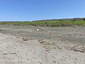 Incuria e sporcizia sulla spiaggia di Montalto Marina
