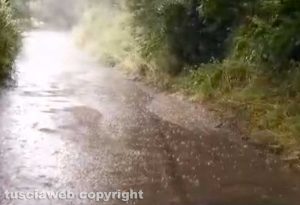 Viterbo - Fitta vegetazione e strade allagate in strada Buon respiro e Filante