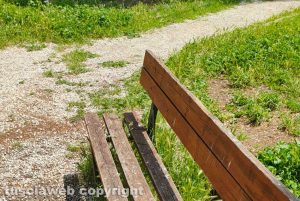 Viterbo - Parco Lubich - L’erba tagliata il giorno prima dell'evento