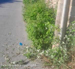 Viterbo - Strada Respoglio