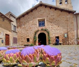 Cerveteri - Fiori di carciofo per l'infiorata