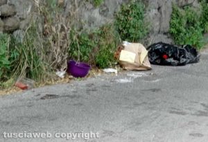 Viterbo - Sacchi di rifiuti abbandonati in strada Respoglio