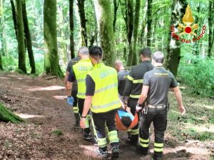 Cade durante un'escursione alla Faggeta