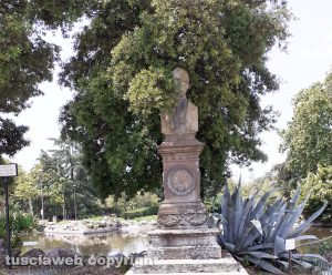 Viterbo - Busto di Mazzini coperto da un albero a Pratogiardino Lucio Battisti