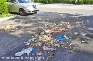 Viterbo - Immondizia in via Genova
