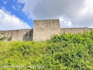 Viterbo - Erba alta attorno alle mura vicino al Pilastro