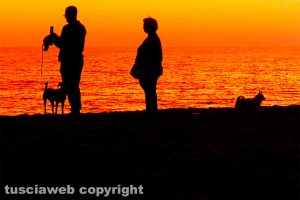 A passeggio con i cani al tramonto al mare