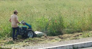Viterbo - Gli abitanti di Colle Verde si tagliano l'erba