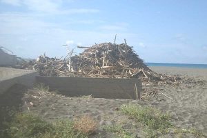 Montalto di Castro - Incuria lungo la spiaggia