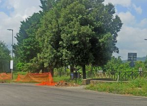 Canino - Località Vallone
