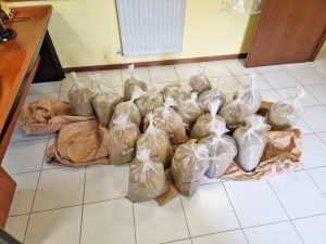 Montalto di Castro - Carabinieri - La polvere di marijuana sequestrata