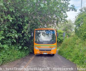 Viterbo - Bus Francigena costretto a passare al centro della strada al Salamaro