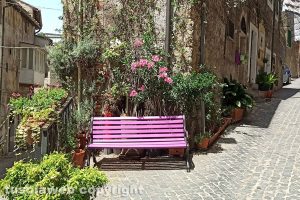 Caprarola - 'La Panchina dei Desideri'