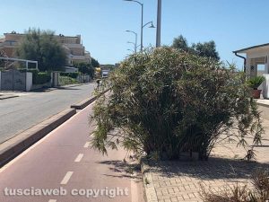 Tarquinia lido - La pista ciclabile