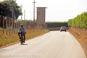 Viterbo - Le strade di Castel d'Asso