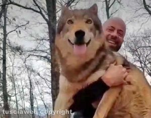 Armando Tiberi - I cani cecoslovacchi tornati all'allevamento
