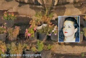 Viterbo - Vasi di fiori secchi alla fontana dei Priori - Nel riquadro: Chiara Frontini