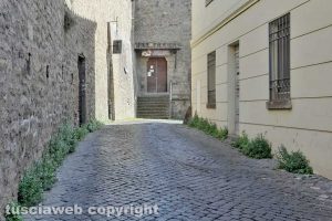 Viterbo - Erba in via Casa di santa Rosa