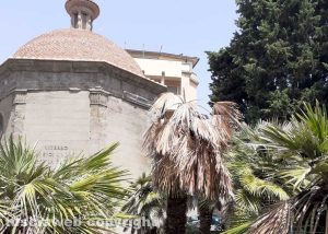 Viterbo - Le palme secche al tempietto della peste