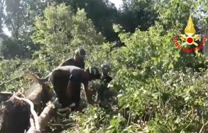 Maltempo in Veneto, l'intervento dei vigili del fuoco