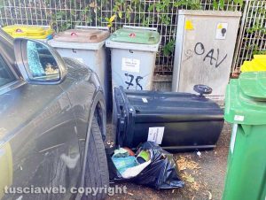 Viterbo - L’immondizia dopo il passaggio dei cinghiali in via Monte Cervino