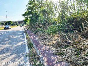 Viterbo - La pista rossa tosata