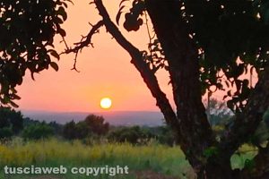 Un tramonto