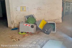 Viterbo - Il condominio di via Genova dopo la visita dei cinghiali
