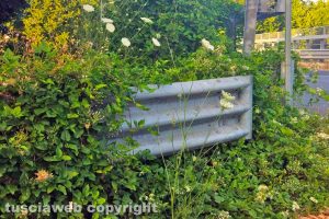 Viterbo - Erbacce lungo lo stop della Tangenziale