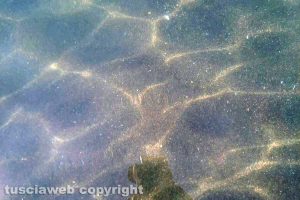 Montalto di Castro - L'acqua del mare