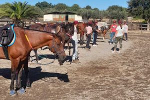 Viterbo - Il centro ippico Sacconi Arabian Stud