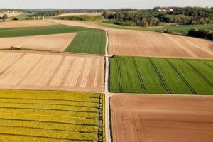 Nasce il Biodistretto dei Colli Etruschi di Montalto e Tuscania
