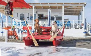 A Montalto Marina lo stabilimento per gli amici a 4 zampe