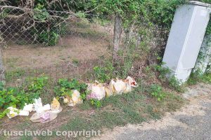 Caprarola - Immondizia alla riserva naturale Lago di Vico