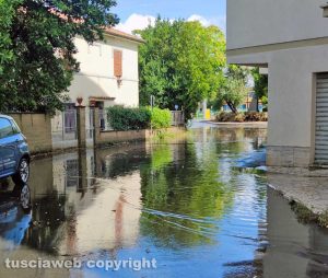 Viterbo - Parte di via Gorizia allagata