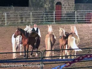 Tuscania - Nitriti nella notte