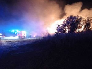 Tarquinia - Vasto incendio di sterpaglie